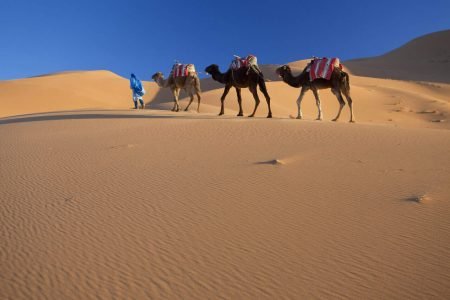 Casablanca tours