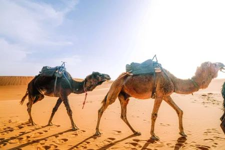 Tangier tours